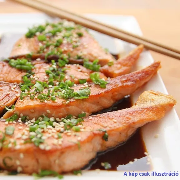 Teriyaki wok szósz